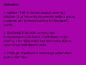 Homoseksualizmas ir nusikalstamumas. Visuomenės požiūris į jų sąveiką  6 puslapis
