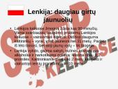 “Karas keliuose”: visuomenės ir valdžios institucijų reakcija 15 puslapis