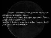 Pilnaties įtaka nusikalstamumui  2 puslapis