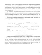 Technologinės aplinkos įtaka tarptautinio verslo plėtrai 10 puslapis