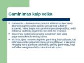 Naminė degtinė: kultūrinis paveldas ar nusikalstama veika 19 puslapis