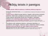Viešasis transportas - siaubo kambarys 14 puslapis