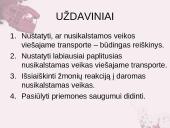 Viešasis transportas - siaubo kambarys 5 puslapis