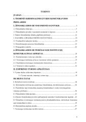 Nusikalstamo įvykio komunikavimo aspektai žiniasklaidos ir teisėsaugos institucijų požiūriu   6 puslapis