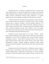 Nusikaltimų prevencijos teisinis reglamentavimas Lietuvoje 3 puslapis
