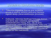 Ar televizija turi įtakos nusikalstamumui? 10 puslapis