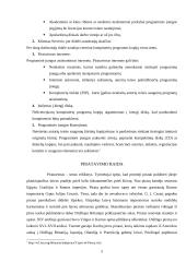 Piratavimas kaip nusikaltimas šių dienų kontekste 5 puslapis