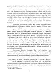 Piratavimas kaip nusikaltimas šių dienų kontekste 7 puslapis