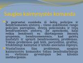 Žmonių reakcijos į nusikalstamas veikas ir kitus teisės pažeidimus kaimynystėje 14 puslapis