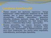 Žmonių reakcijos į nusikalstamas veikas ir kitus teisės pažeidimus kaimynystėje 16 puslapis