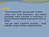 Žmonių reakcijos į nusikalstamas veikas ir kitus teisės pažeidimus kaimynystėje 17 puslapis
