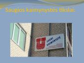 Žmonių reakcijos į nusikalstamas veikas ir kitus teisės pažeidimus kaimynystėje 8 puslapis