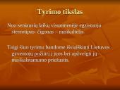 Jei čigonas, tai būtinai nusikaltėlis?  2 puslapis