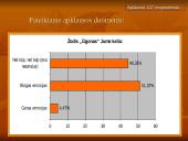 Jei čigonas, tai būtinai nusikaltėlis?  12 puslapis