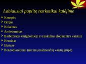 Narkotikų vartojimas kalėjime  7 puslapis
