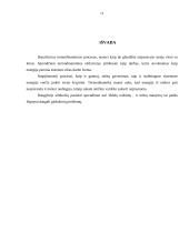 Termodinamikos dėsniai (referatas) 11 puslapis