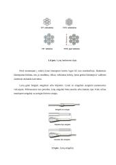 Lėktuvo “Cessna 172” aerodinaminė valdymo sistema 10 puslapis