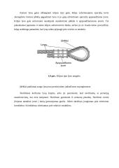 Lėktuvo “Cessna 172” aerodinaminė valdymo sistema 11 puslapis