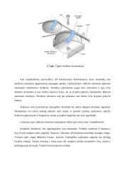 Lėktuvo “Cessna 172” aerodinaminė valdymo sistema 12 puslapis