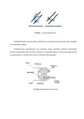 Lėktuvo “Cessna 172” aerodinaminė valdymo sistema 14 puslapis