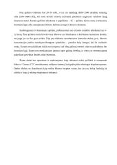 Lėktuvo “Cessna 172” aerodinaminė valdymo sistema 3 puslapis