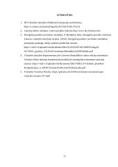 Valstybės tarnautojų tarnybinių santykių ypatumai 11 puslapis