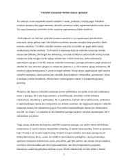 Valstybės tarnautojų tarnybinių santykių ypatumai 5 puslapis