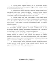 Terorizmas ir jo samprata 11 puslapis