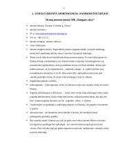 Įmonės verslo planas 2 puslapis