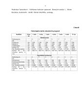 Įmonės verslo planas 5 puslapis