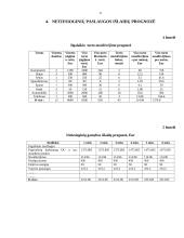 Įmonės verslo planas 6 puslapis