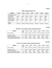 Įmonės verslo planas 9 puslapis