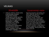 Mitologinė būtybė - velnias 5 puslapis