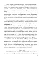 Tradicinė santuoka ir kohabitacija 19 puslapis