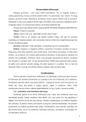 Tradicinė santuoka ir kohabitacija 2 puslapis