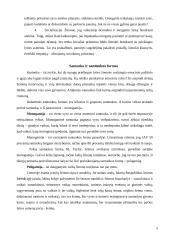 Tradicinė santuoka ir kohabitacija 4 puslapis