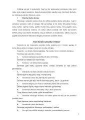 Tradicinė santuoka ir kohabitacija 6 puslapis