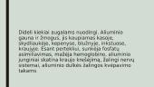 Metalas: Aliuminis 13 puslapis