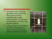 Balys Sruoga ir jo kūrinys „Dievų miškas” (1957) 7 puslapis