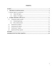 Trigerių klaisfikavimas 2 puslapis