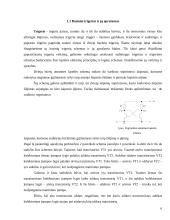 Trigerių klaisfikavimas 6 puslapis