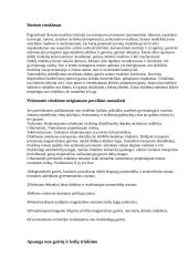 Triukšmo žala 3 puslapis