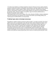 Triukšmo žala 6 puslapis