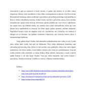 Psichologinė filmo ,,Medžioklė'' analizė 3 puslapis