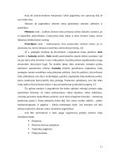 Užsienio rinkų užvaldymas 11 puslapis