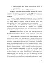 Užsienio rinkų užvaldymas 12 puslapis