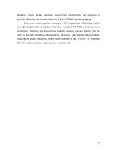 Užsienio rinkų užvaldymas 13 puslapis