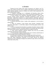 Užsienio rinkų užvaldymas 14 puslapis