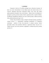 Užsienio rinkų užvaldymas 3 puslapis