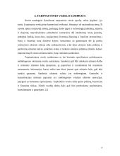 Užsienio rinkų užvaldymas 4 puslapis